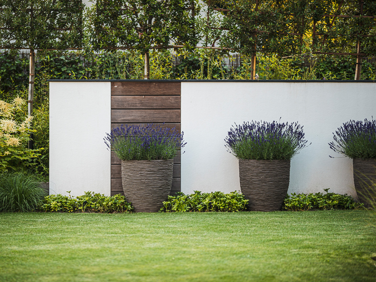 Moderne Gartenumgestaltung mit eleganten Pflanzkübeln, Lavendelbepflanzung und stilvoller Sichtschutzwand aus Holz und weißen Elementen.